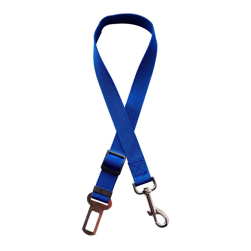 FlexiBelt – Sicherheit mit Bewegungsfreiheit