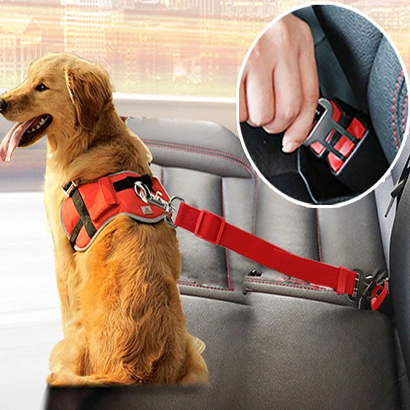 FlexiBelt – Sicherheit mit Bewegungsfreiheit