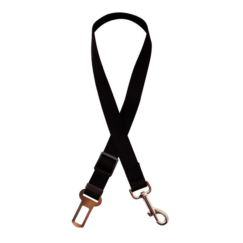 FlexiBelt – Sicherheit mit Bewegungsfreiheit