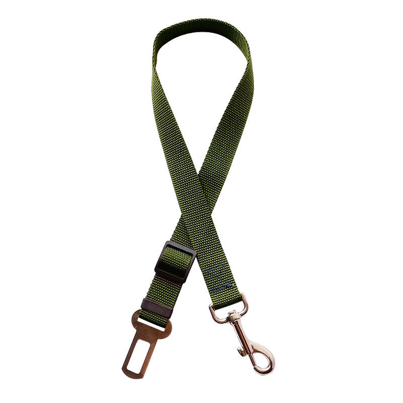 FlexiBelt – Sicherheit mit Bewegungsfreiheit