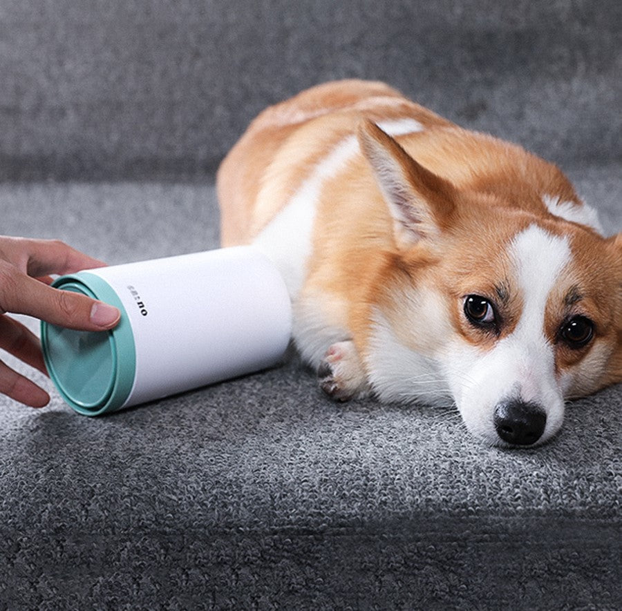 PawClean - Saubere Pfoten in Sekunden